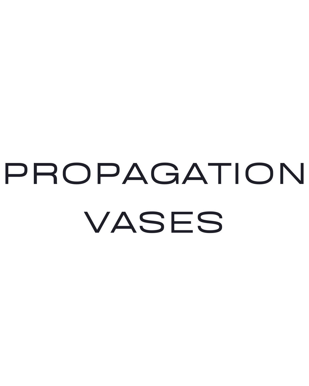 Propagation Vase/ Test Tube Vase