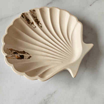 close up shell tray